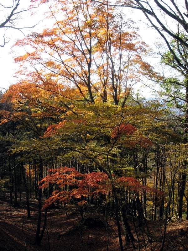 天城峠