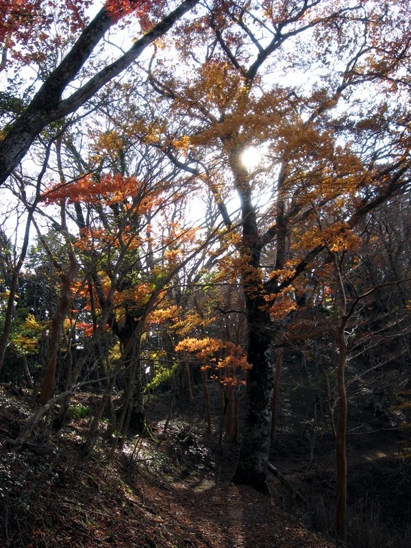 天城峠