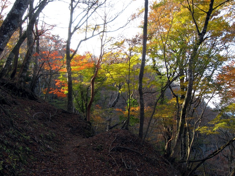 天城峠