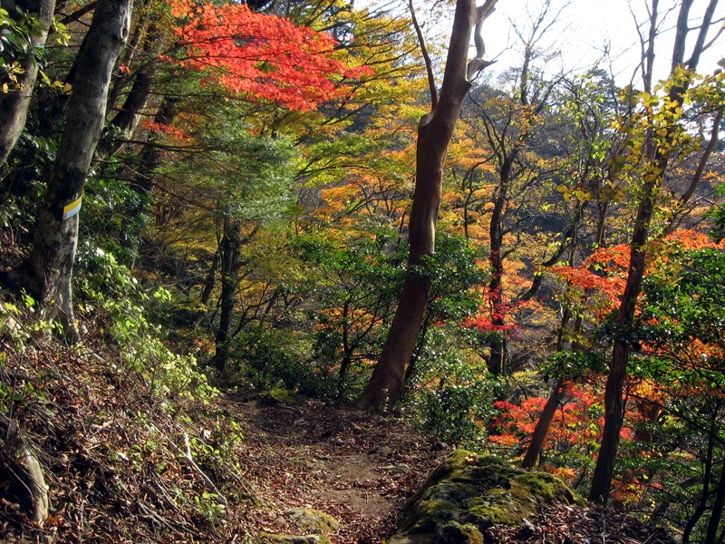 天城峠