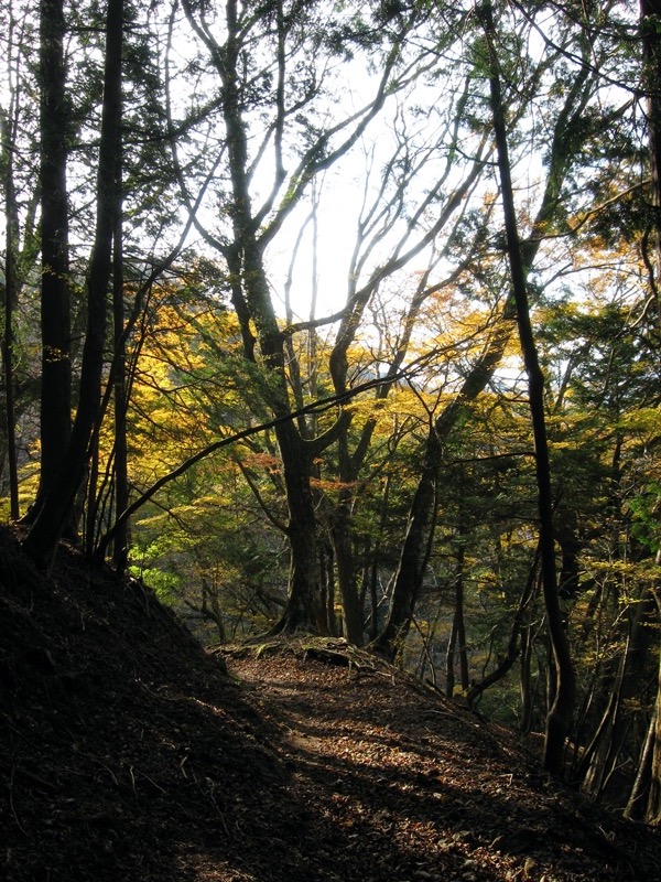 天城峠