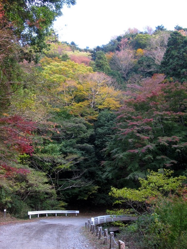 天城峠