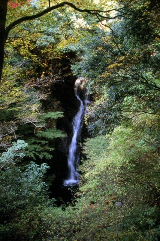 天城峠