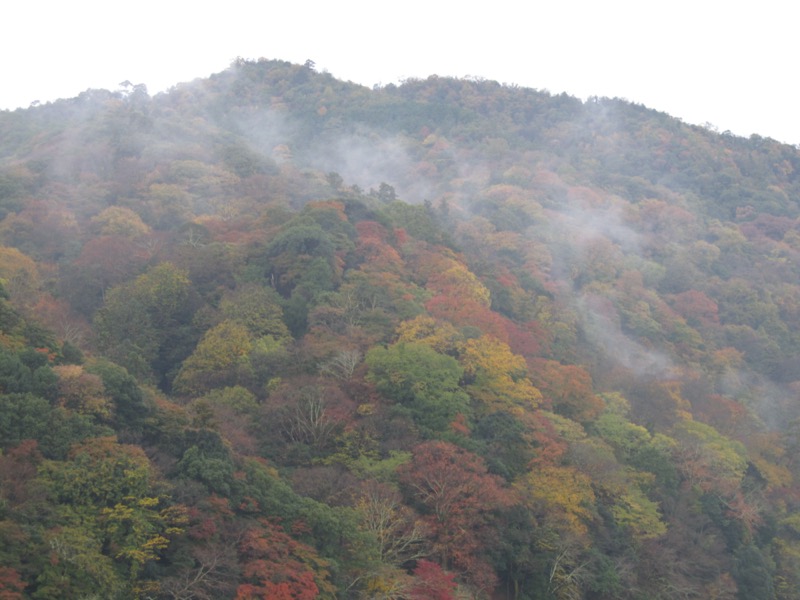 箕面&嵐山