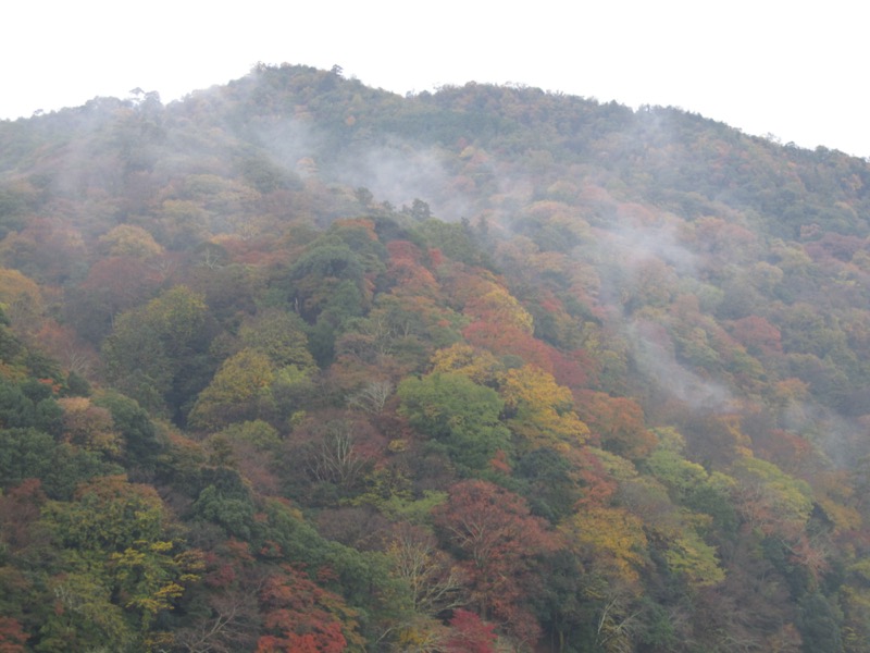 箕面＆嵐山