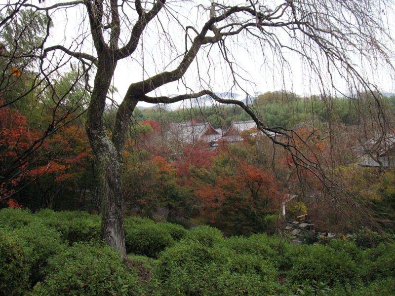 箕面&嵐山