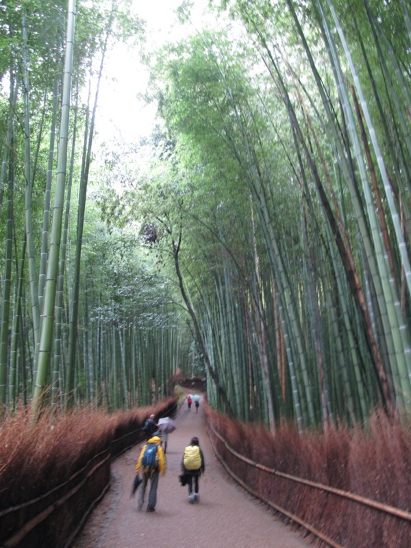 箕面&嵐山