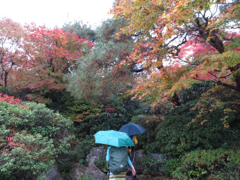箕面&嵐山