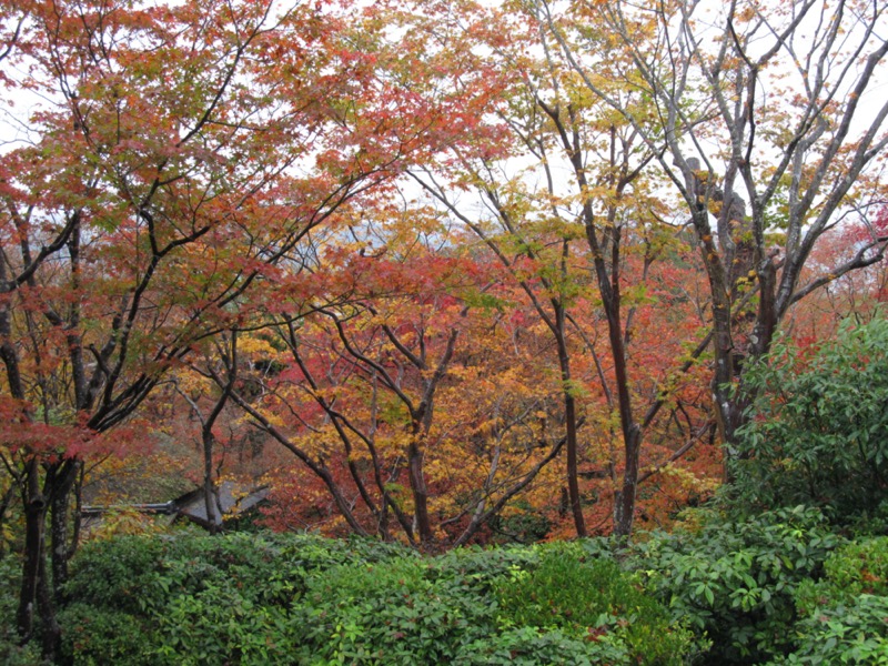 箕面&嵐山