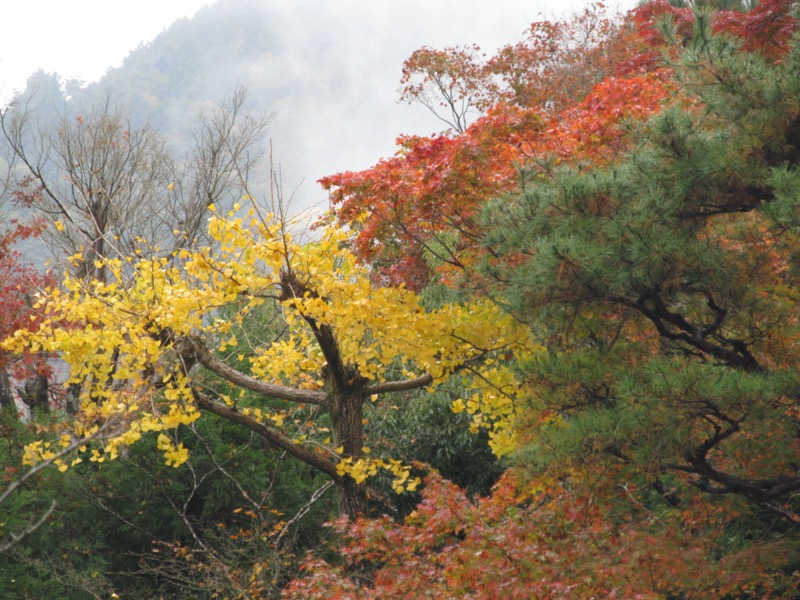 箕面&嵐山