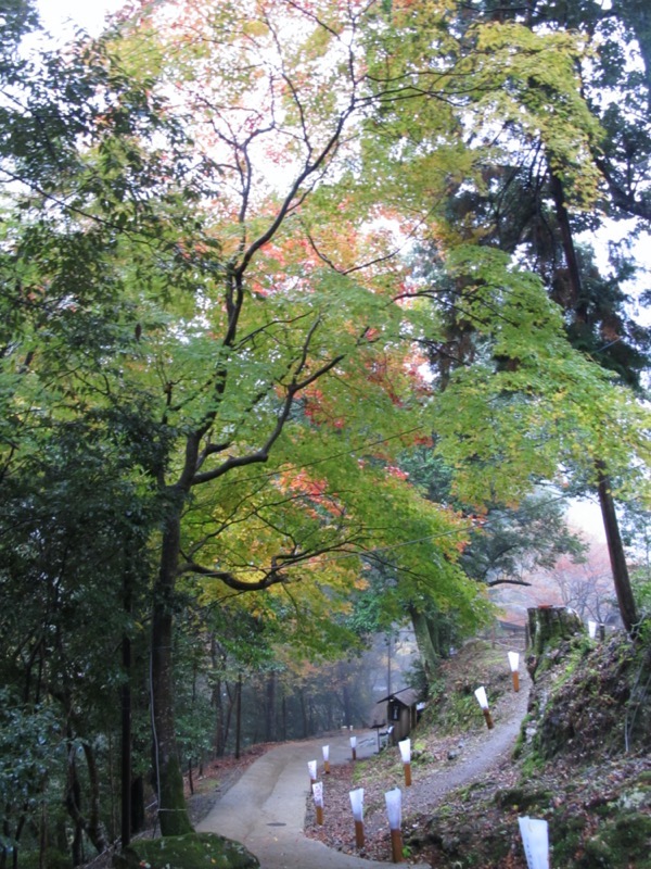 箕面&嵐山
