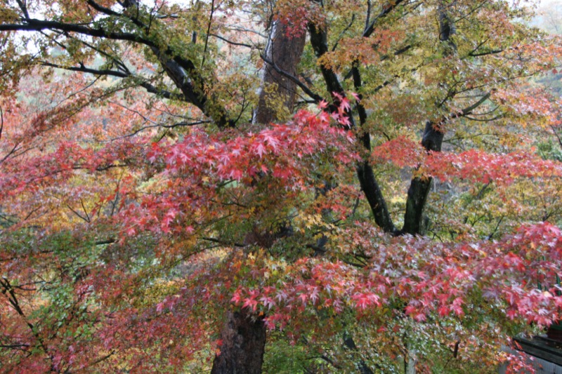 羅漢寺山