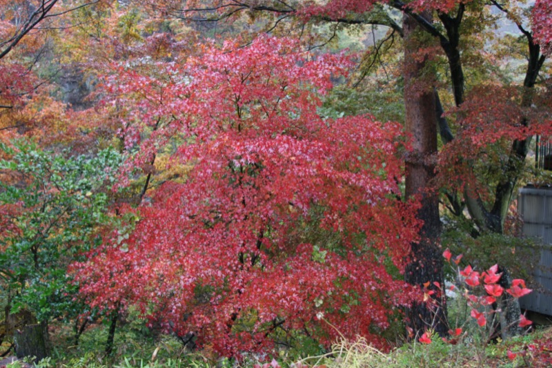 羅漢寺山