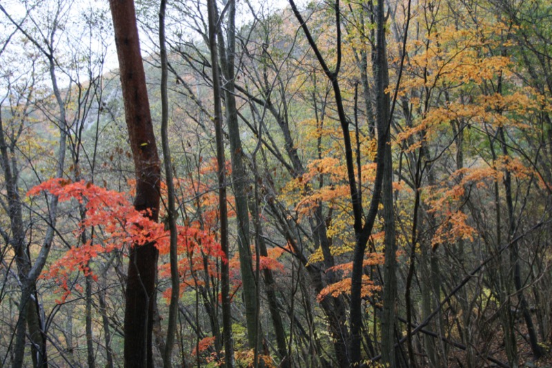 羅漢寺山