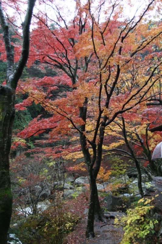 羅漢寺山