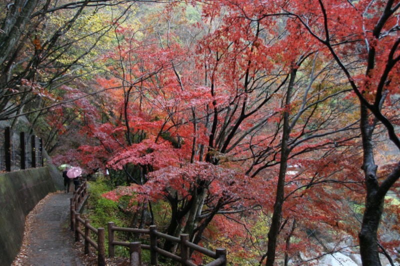 羅漢寺山