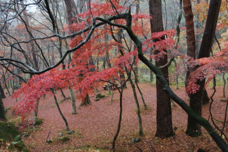 羅漢寺山