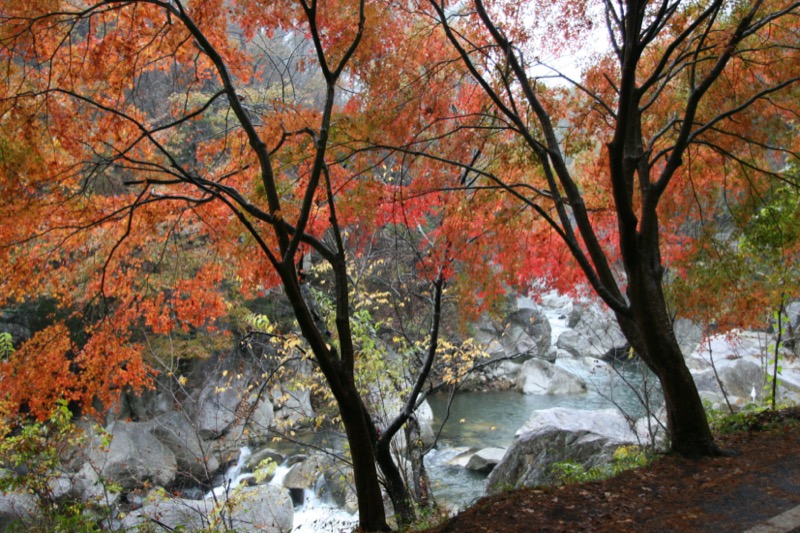 羅漢寺山