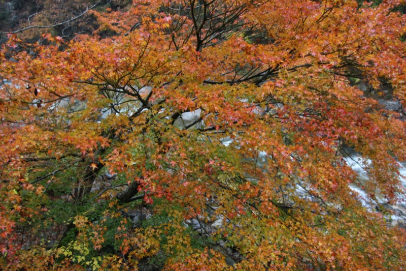 羅漢寺山