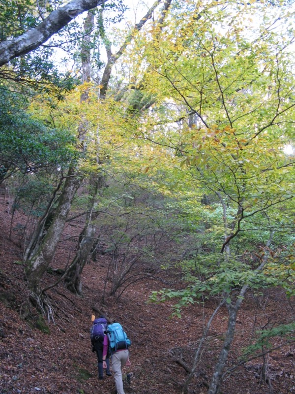 天城峠