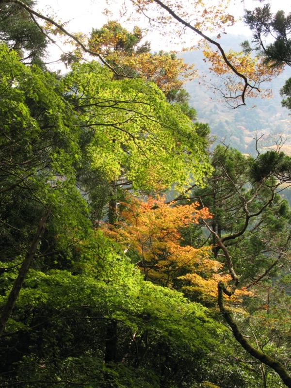 天城峠