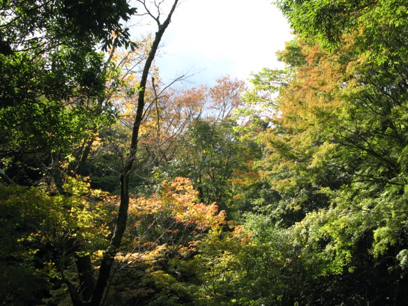 天城峠