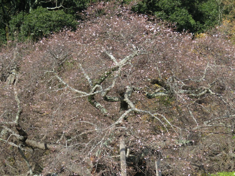 奥久慈・男体山