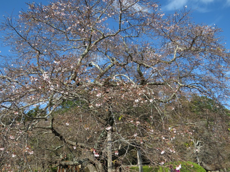 奥久慈・男体山