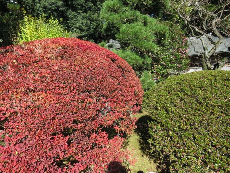 奥久慈・男体山