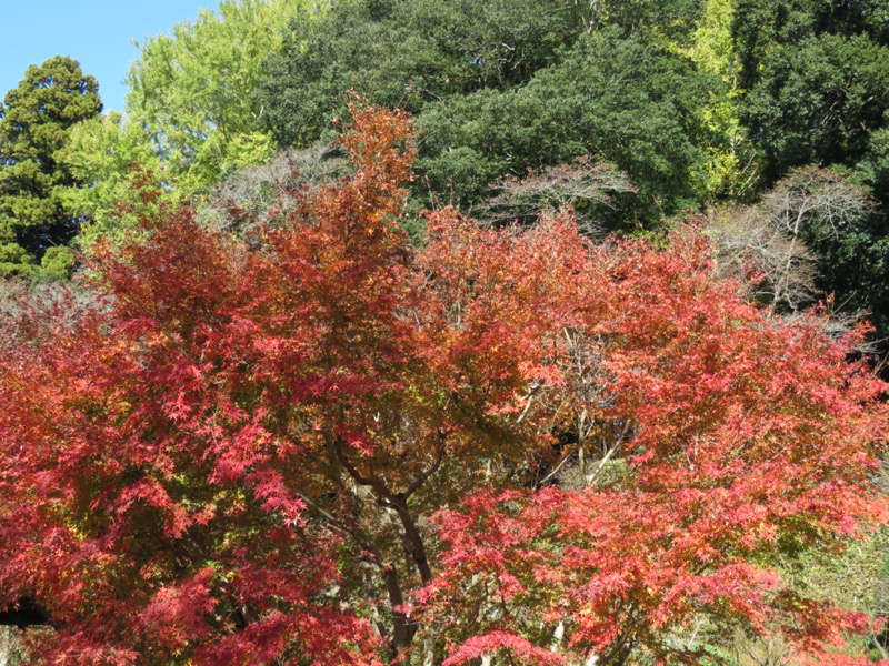 奥久慈・男体山