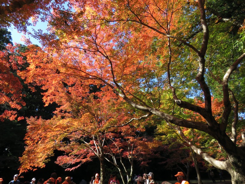 奥久慈・男体山