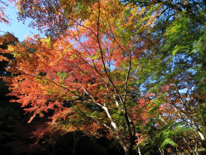 奥久慈・男体山