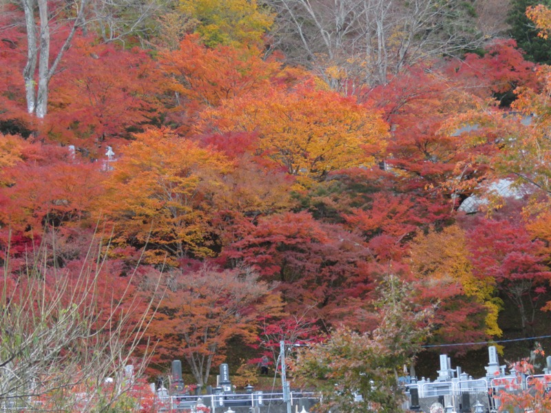 奥久慈・男体山