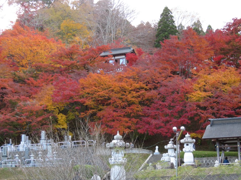 奥久慈・男体山