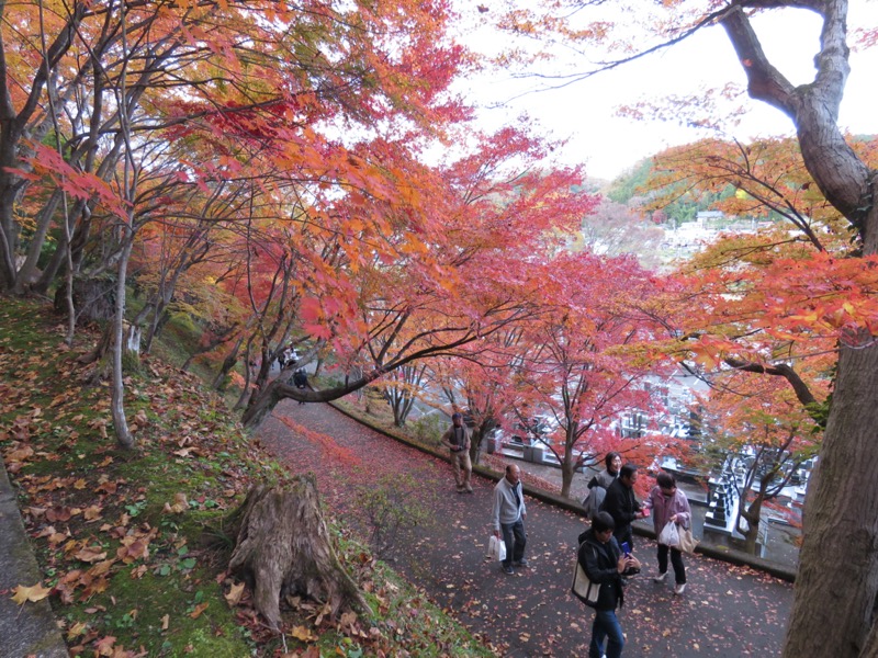 奥久慈・男体山