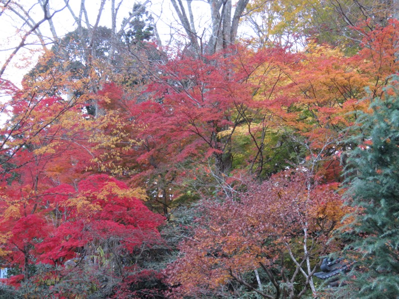 奥久慈・男体山