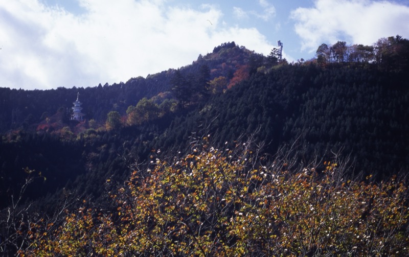 竹寺