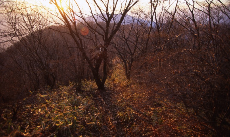 子持山