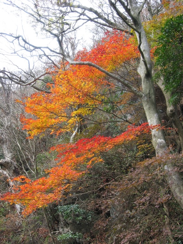 筑波山