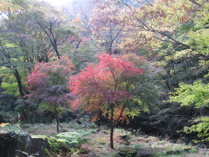 天城峠