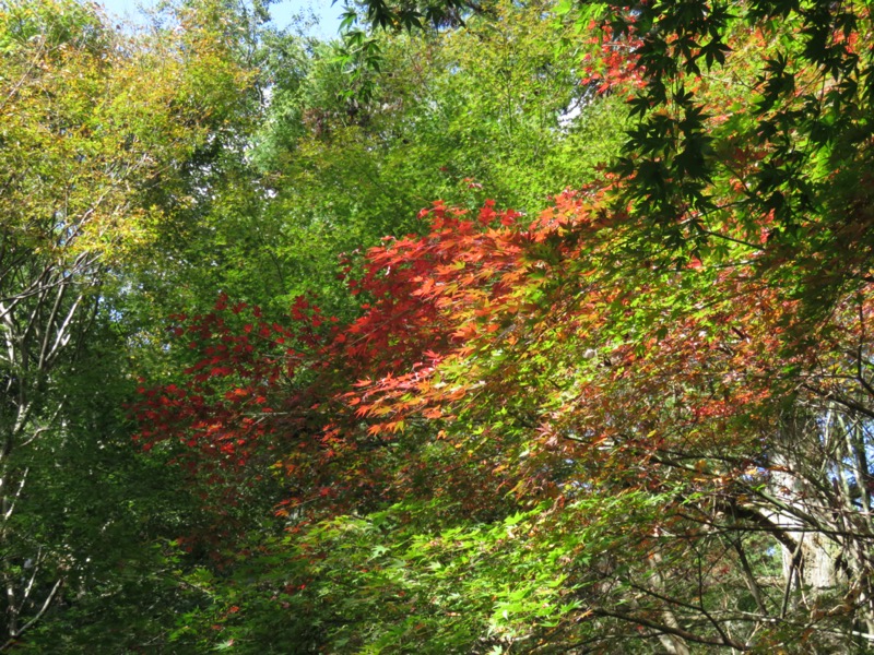 天城峠