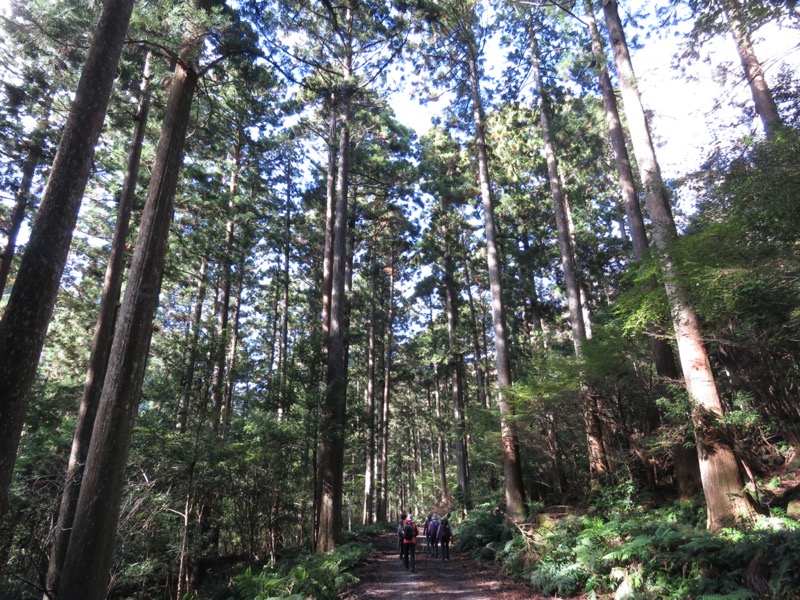 天城峠