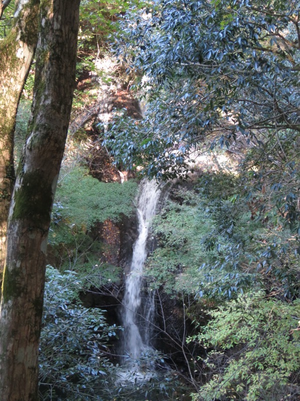 天城峠