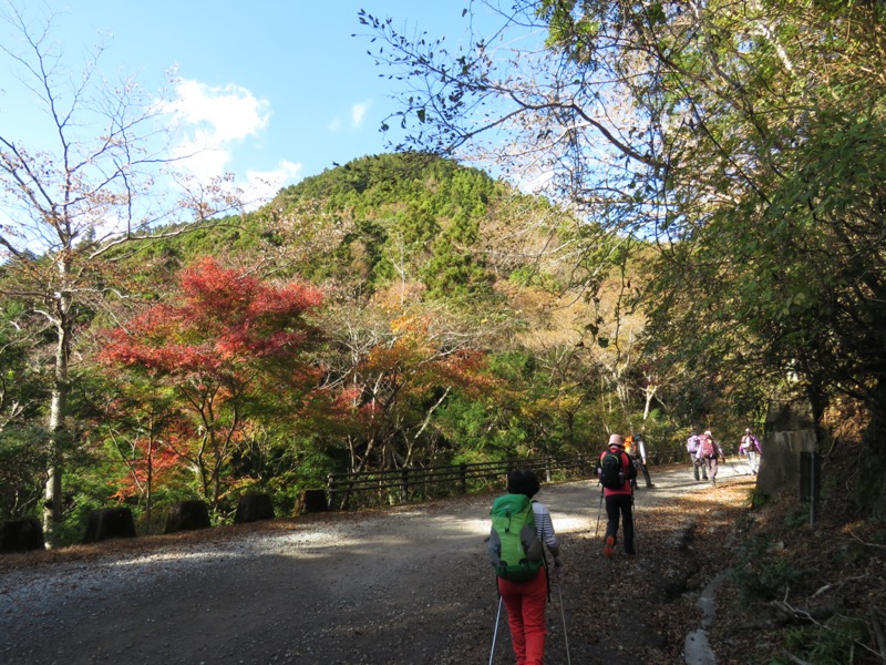 天城峠