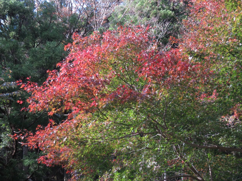 天城峠