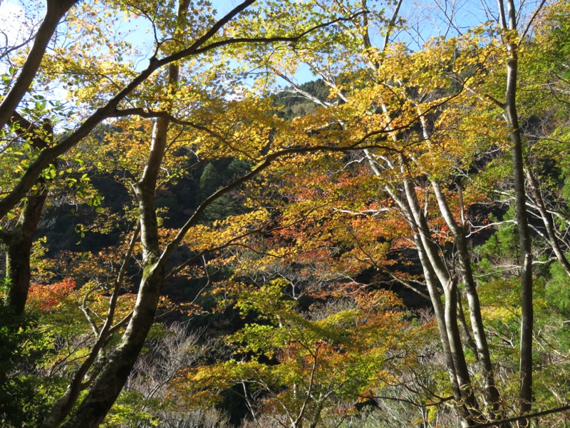 天城峠