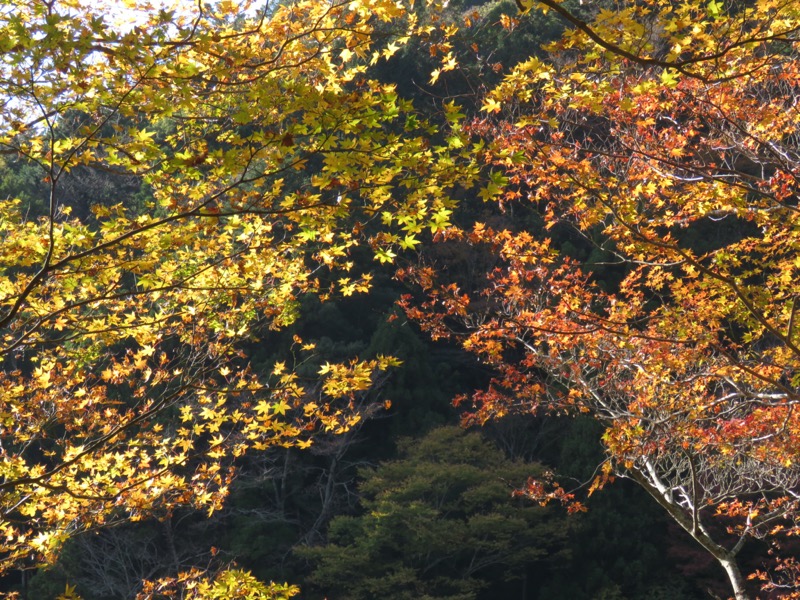 天城峠