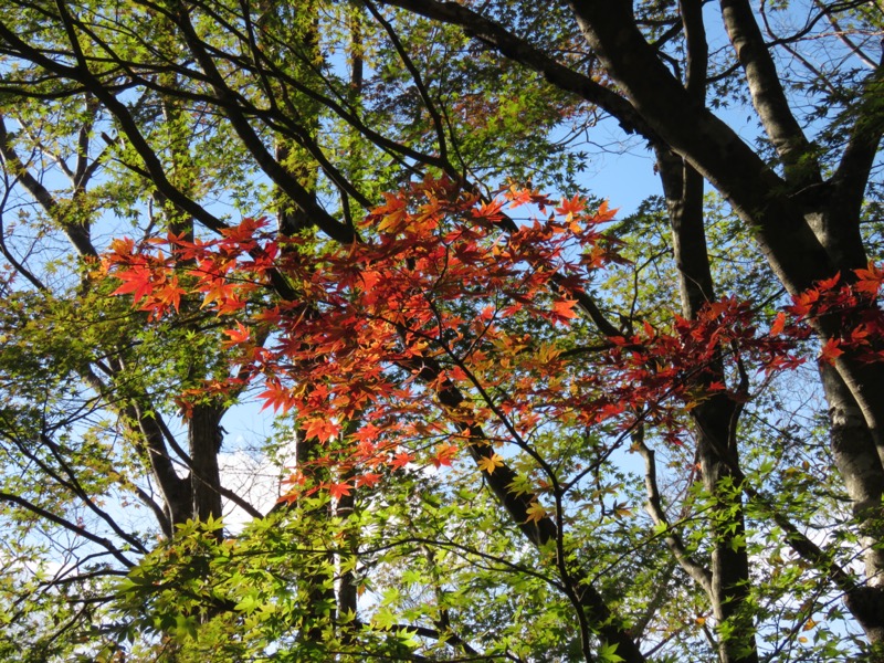 天城峠