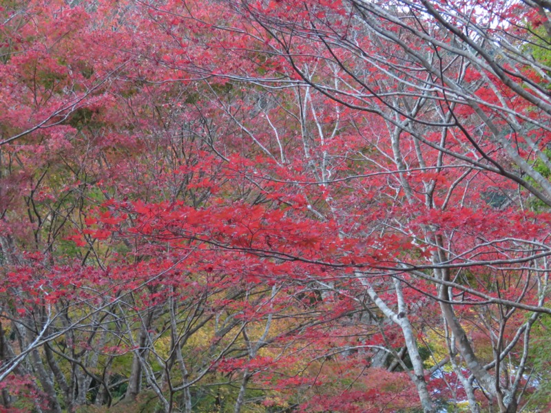 天城峠