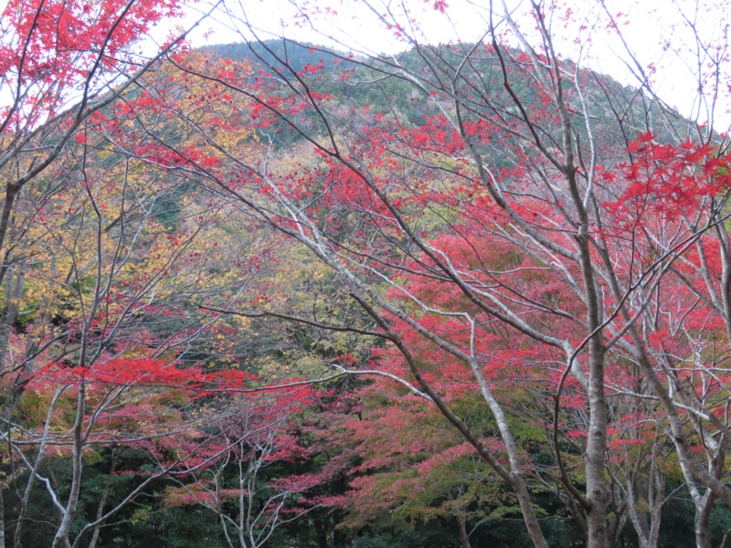 天城峠